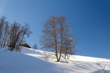 Fototapeta na wymiar illustration d'un paysage de montagne représenté par une vaste étendue enneigée avec quelques arbres et un chalet