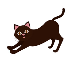 dark cat icon