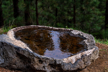 Piedra con agua en el municipio de la Esperanza, isla de Tenerife