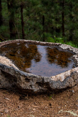 Piedra con agua en el municipio de la Esperanza, isla de Tenerife