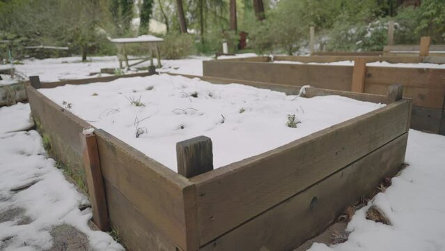snow covered garden beds
