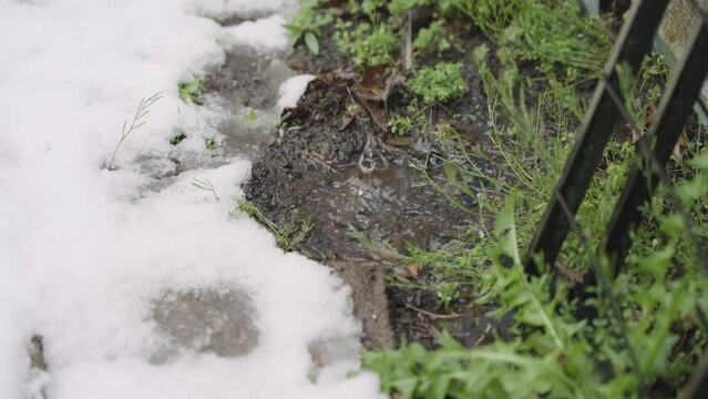water drops on the ground