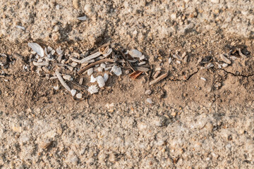 Ash from a wildfire has settled on a front porch surface.