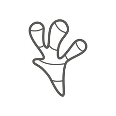 Vector linear icon with ginger root