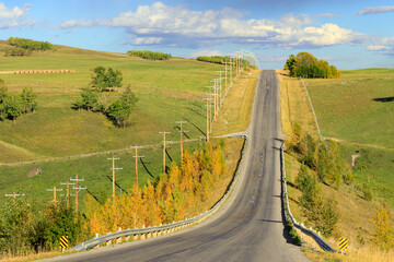 Country Road Wood Utility Pole Alberta Canada Landscape
