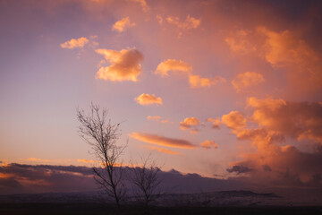 Naklejka na ściany i meble warm clouds in the sky at sunset