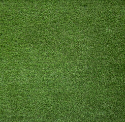 Green and closed grass texture