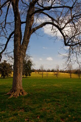 Obraz premium Views at Andrew Jackson's Hermitage outside of Nashville, Tennessee