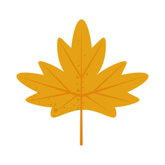 maple leaf icon