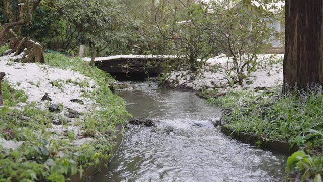 stream in the woods