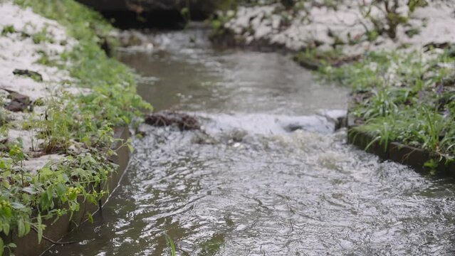 stream in the forest
