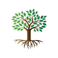 Obraz premium Tree of life vector logo design inspiration full color isolated on white background