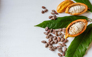Half cacao pods and cacao fruit with brown cocoa   beans