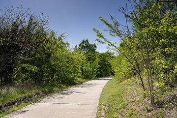 road in the park