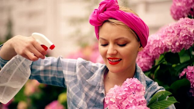Attractive cute woman gardener in backyard cere hydrangea flowers. Watering flowers.