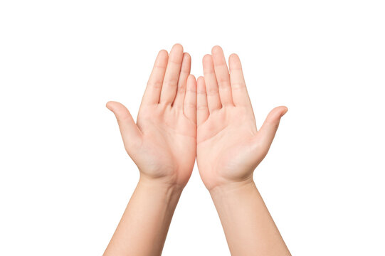 Woman hands isolated on white