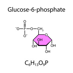 Glucose-6-Phosphate Chemical Structure. Vector Illustration.