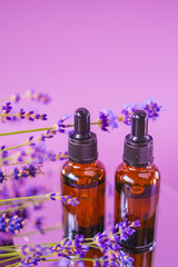 Lavender oil.Aromatherapy and massage.Brown glass bottles oil set and lavender flowers on a purple background.aroma of lavender.Essence with lavender scent. 