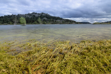 Lago, embalse. 
