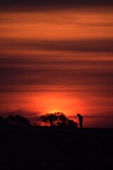 Fototapeta na wymiar silhouette of a person walking on a sunset