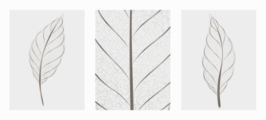 Black and white art background with tropical transparent leaves. Minimalistic botanical transparent drawing in art line style for package design, decor, wallpaper, print