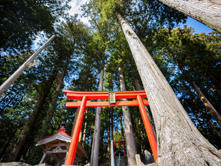 神社