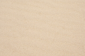 Fototapeta na wymiar sand background blown by the wind