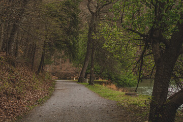 path in the woods