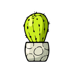 Cactus in a pot. Color simple illustration on a white background.