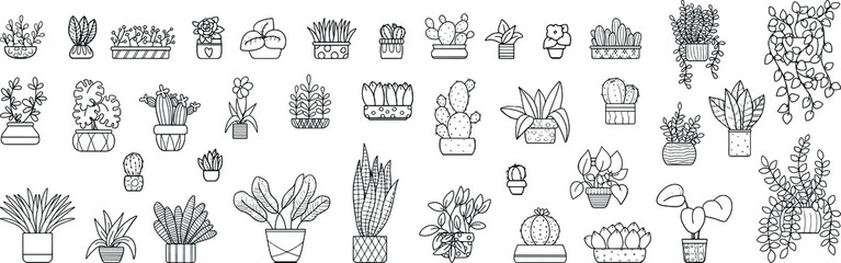 Collection of indoor plants. A set of vector illustrations on a white background.