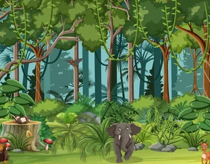 Forest scene with wild animals © blueringmedia