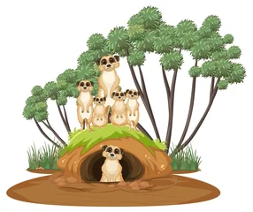 Group of meerkats with burrow in cartoon style © blueringmedia
