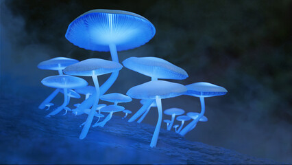 bioluminescent mushrooms