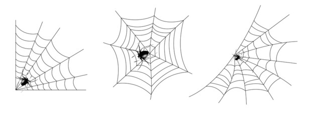 realistic set of spider web for Halloween.  

spider web editable stroke. spider web and 

small spider on a white background.

