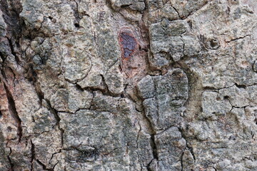 texture