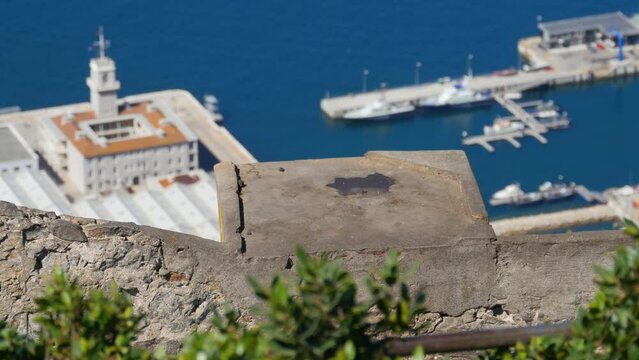 Barbary ape on the Rock of Gibraltar. City in background