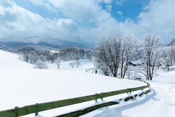 Beautiful winter mountain snow scene, snow-covered road and wooden fence (Daegwallyeong, Gangwon-do, South Korea)
