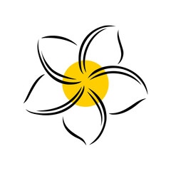 Frangipani or plumeria exotic summer flower. Engraved frangipani isolated in white background. Outline vector illustration