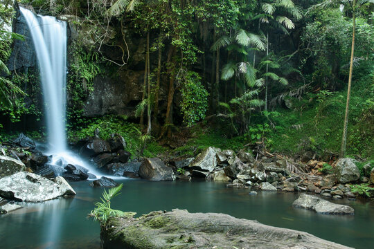 Waterfall Curtis Falls in Tamborine National Park Queensland Australia Soft Wallpaper