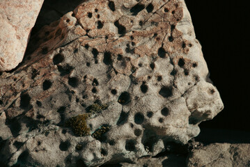 Mossy rock landscape with lots of holes