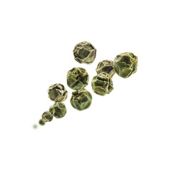 Green peppercorns levitate on a white background