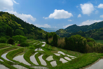春の棚田