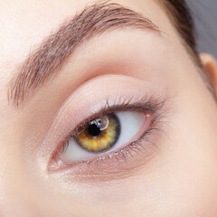 Obraz premium Closeup macro shot of human female eye with nude makeup.