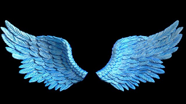 Blue and white gradient patterned wings under black lighting background. Concept image of free activity, decision without regret and strategic action. 3D CG. 3D illustration.