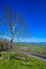 A bench under a tree in the village of Bisaccia, in the mountains of the Campania region of Italy.