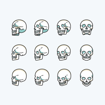 skull illustration set