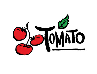 Tomato illustrations - Hand drawn food ingredients, Tomato - vector