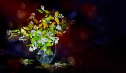 Fototapeta na wymiar Still life, wildflowers on a dark background.