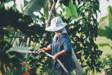 Woman gardener watering plants and trees in garden
