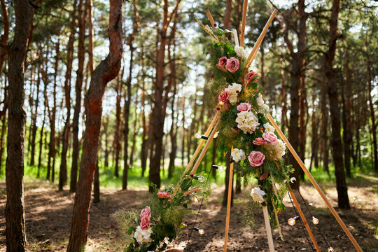 Bohemian tipi arch made of wooden rods decorated with pink roses, candles on carpet, pampass grass, wrapped in fairy lights on outdoor wedding ceremony venue in pine forest. Floristic compositions.